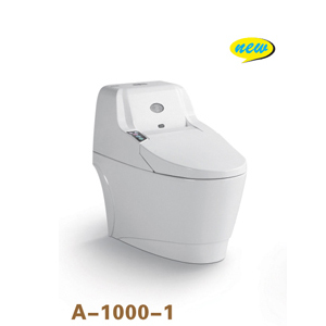 卫生洁具 马桶安装服务全攻略