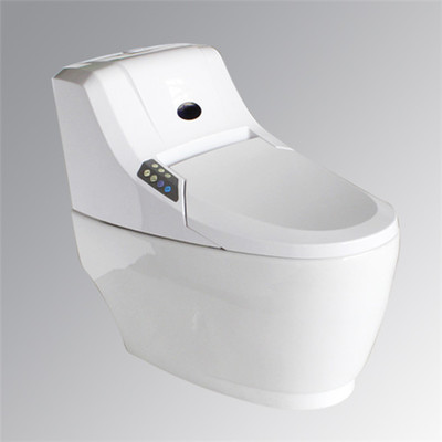 智能马桶(座便器)品牌排行榜 卫生洁具选购指南